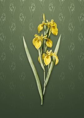 Irises on Lunar Green