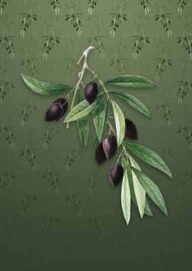 Olive Tree on Lunar Green