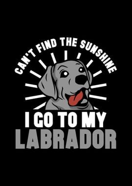 Labrador