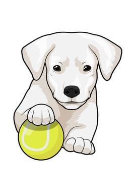 Dog puppy Tennis Sports