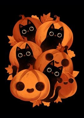 Black kitties and pumpkins