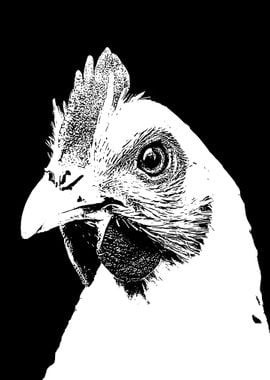 Black and White Chicken