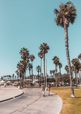 California Day Skating