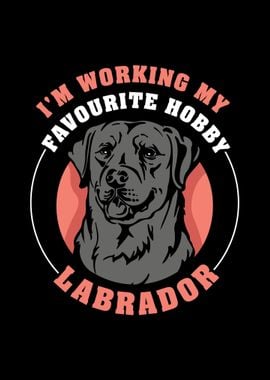 Labrador