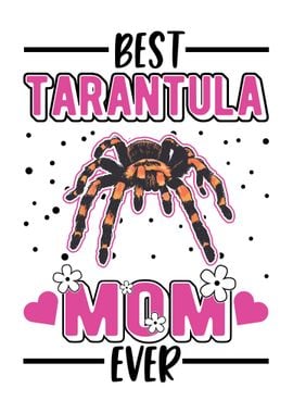 Tarantula Spider