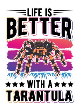 Tarantula Spider