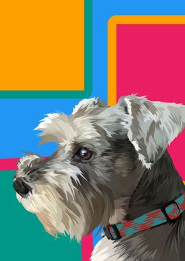 Schnauzer dog in vector