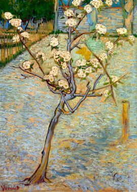 Van Gogh Small Pear Tree