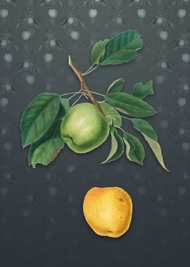 Apple on Slate Gray