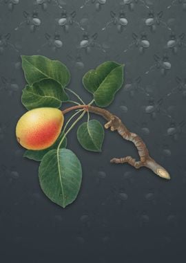 Vintage Pear on Slate Gray