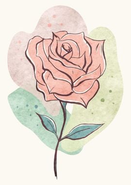 Bohemian Aesthetic Rose