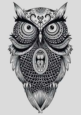 Owl Bird Animal