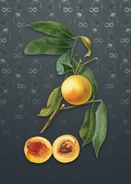 Peach on Slate Gray