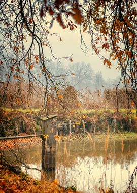 Misty morning, autumn pond