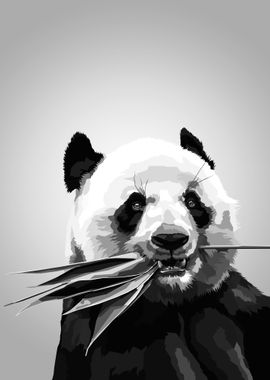 Panda Black and white