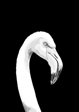 Flamingo Black and white