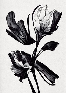 Black Flower