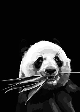 panda Black and white art