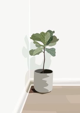 Ficus Fiddle Leaf Muted