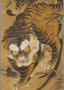 Tiger Emerging from Bamboo