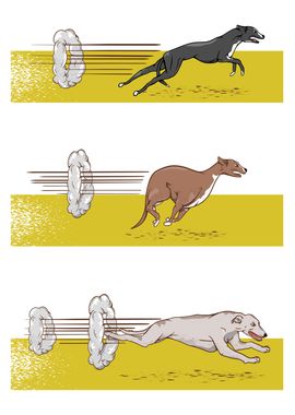 GREYHOUND RACE