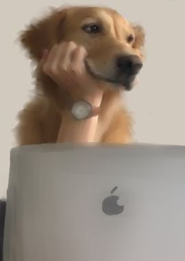 dog boy macbook