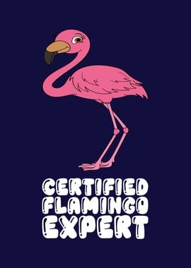 Funny Flamingo Graphic