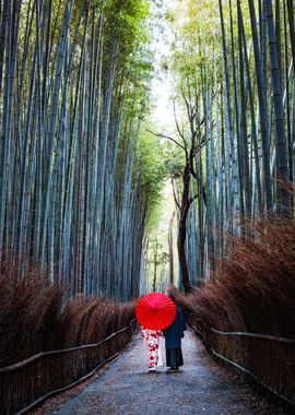 Couple at bamboo forest