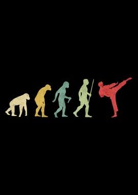 Karate High Kick Evolution