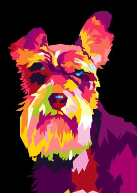 schnauzer wpap