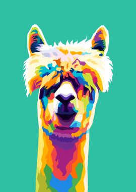 Alpaca