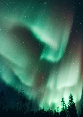 Terrific Northern Lights