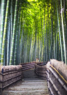 Bridge walk