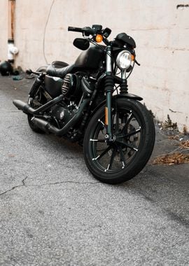 Harley freestanding