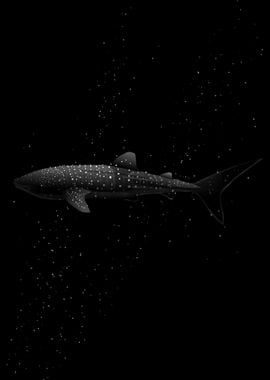 Whale Shark in Maldives