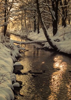  Winter wild river, Poland