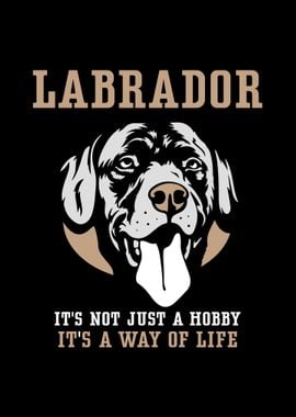 Labrador