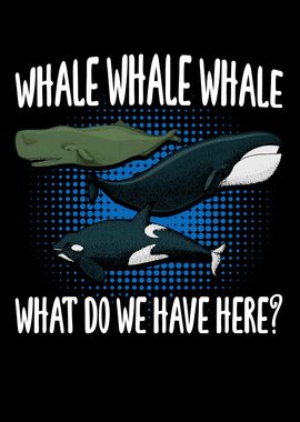 Whale Whale Whale