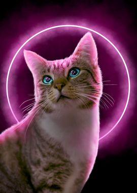 Neon Cat