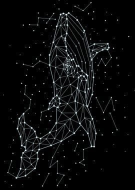 constellation animal 5