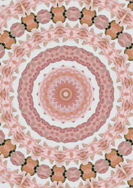 Pink rose kaleidoscope