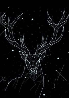 constellation animal 11 de