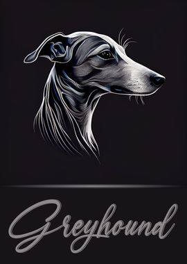 Greyhound Portrait