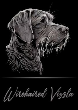 Wirehaired Vizsla