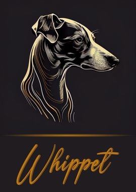 Whippet