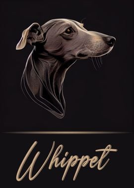 Whippet Portrait