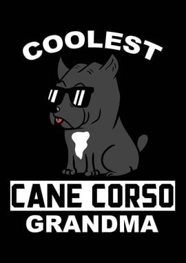 Cane Corso Grandma 