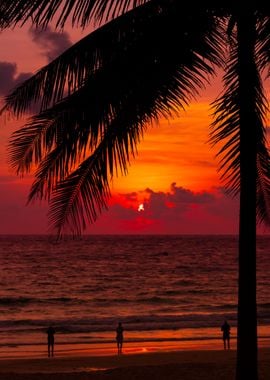 Tropical sunset, Thailand