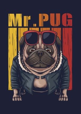 Mr Pug