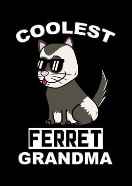 Ferret Grandma 